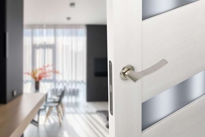 Дверная ручка ADDEN BAU LYRE S-489 NICKEL, фото 3