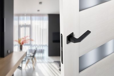 Дверная ручка ADDEN BAU HOME Q532 BLACK, фото 2